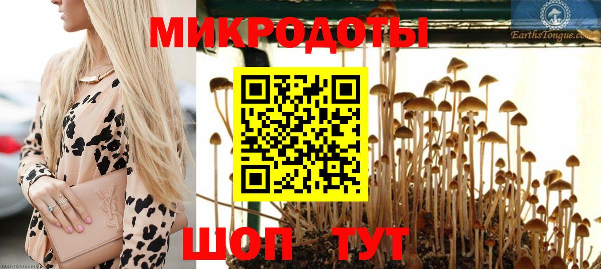 Красноармейск  Галлюциногенные грибы Cubensis  Вход с VPN 