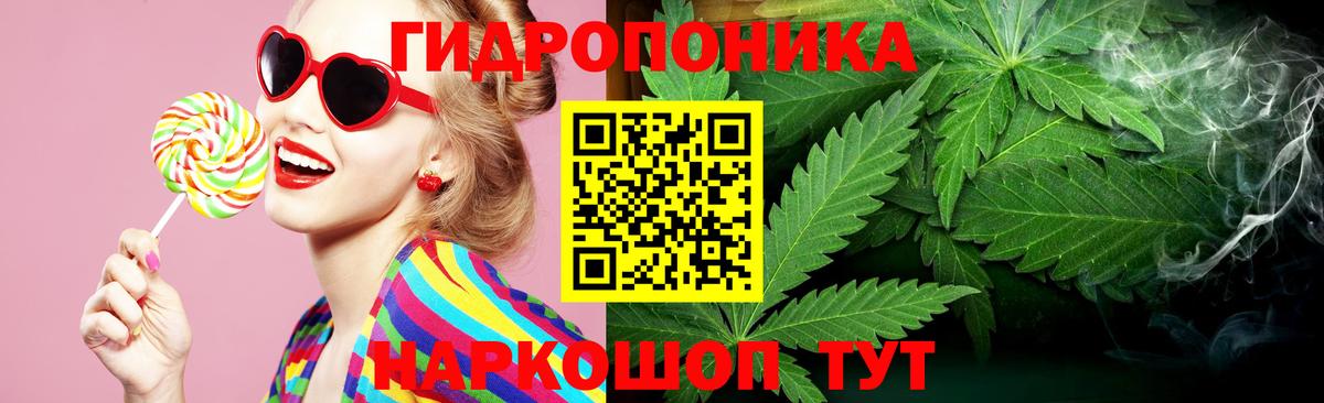 Бошки Шишки THC 21% Красноармейск